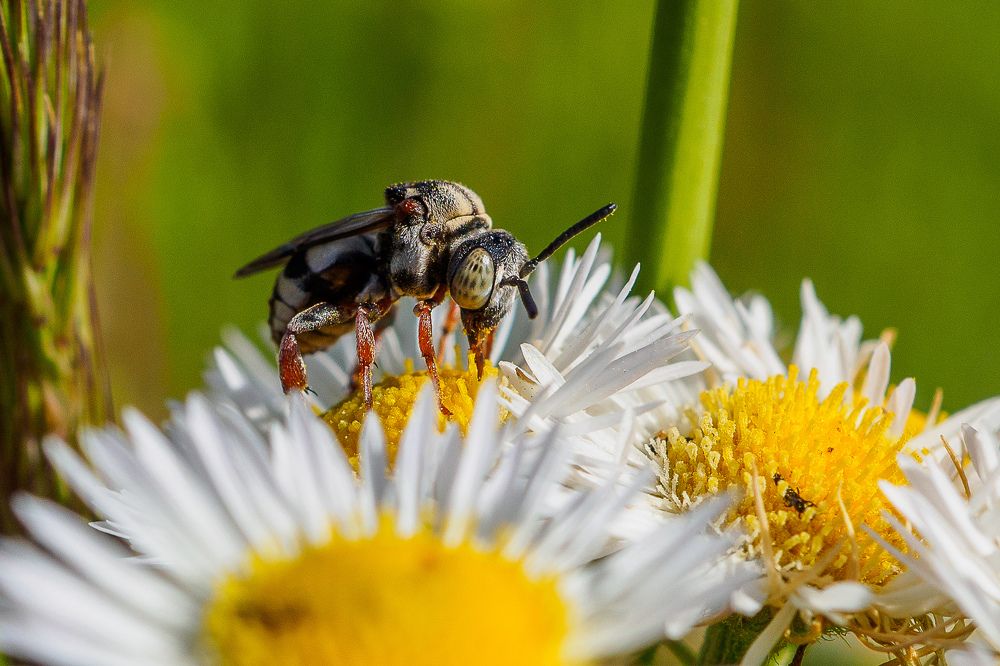 Photograph by Азат Кадиров