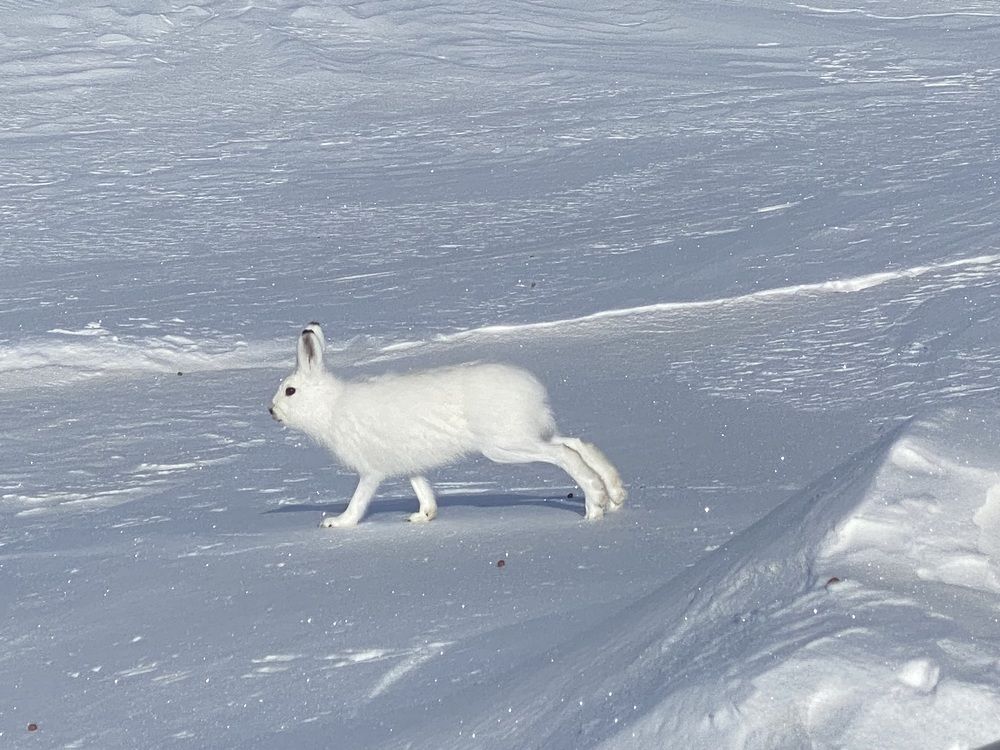 Фотография автора Наталья Вертугина