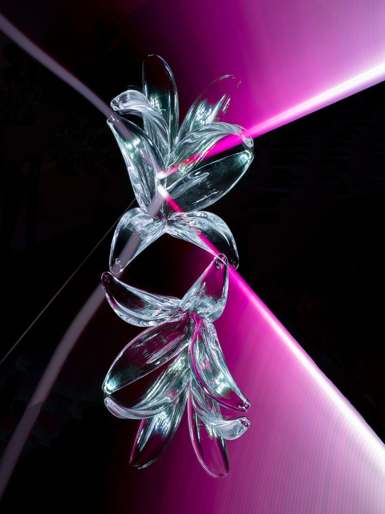 The Lily in a pink coat