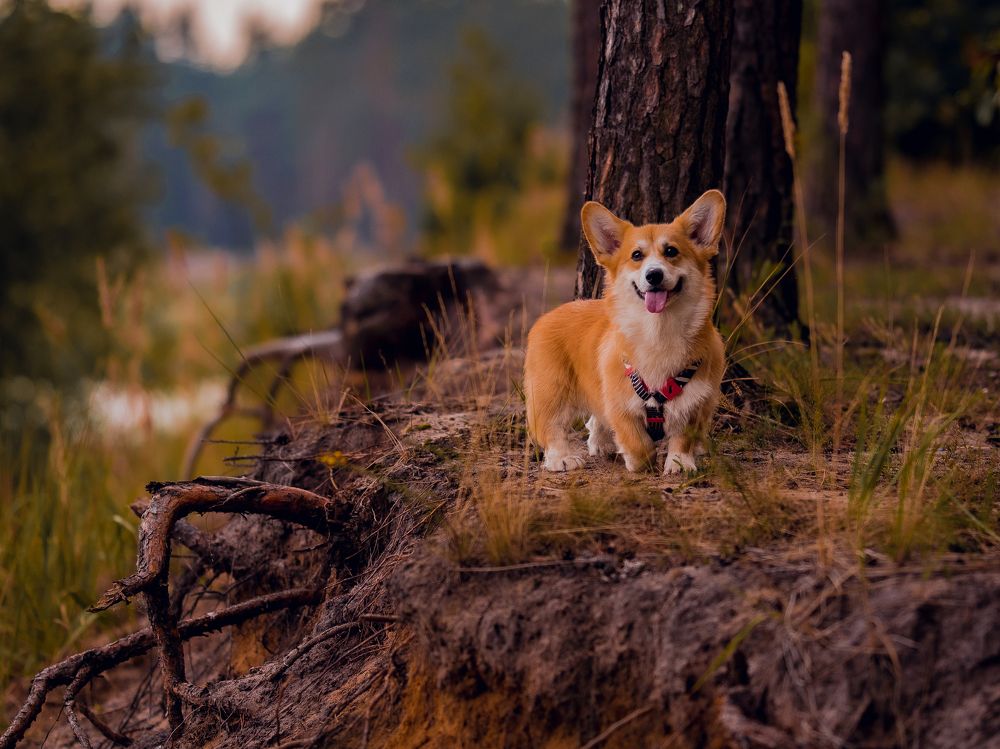 Photograph by Наталья Засенко