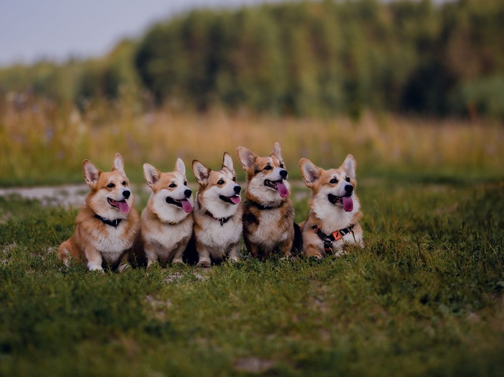 Photograph by Наталья Засенко