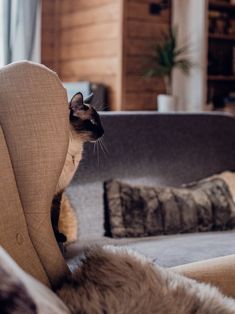 Photograph by Наталья Засенко