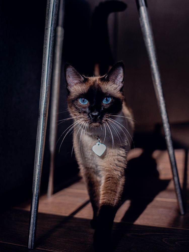 Photograph by Наталья Засенко