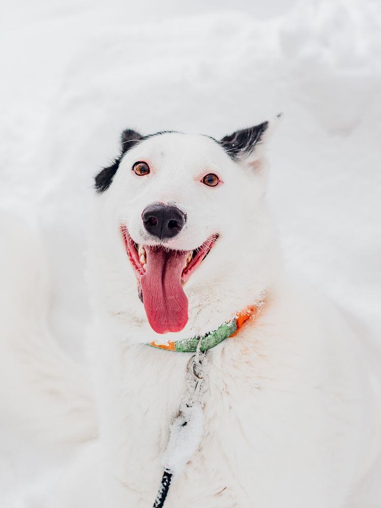 Photograph by Наталья Засенко