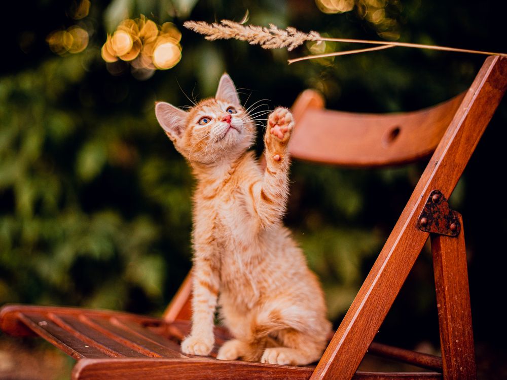 Photograph by Наталья Засенко