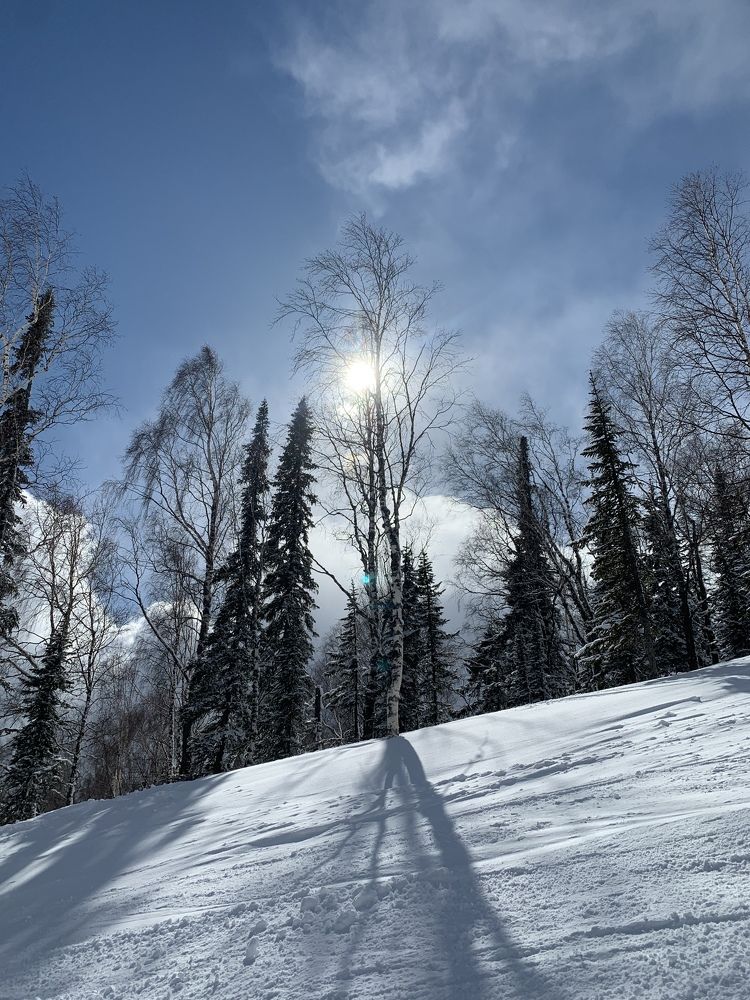 Photograph by Елена Каширина