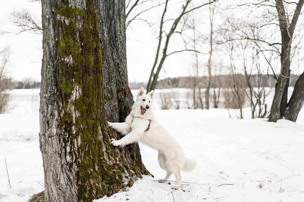 Photograph by Олеся Суббота