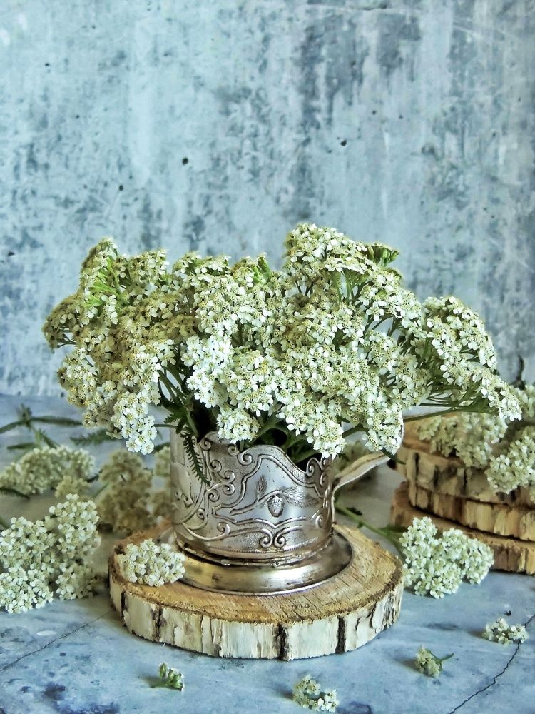 Фотография автора НАТАЛЬЯ СЕВЕР