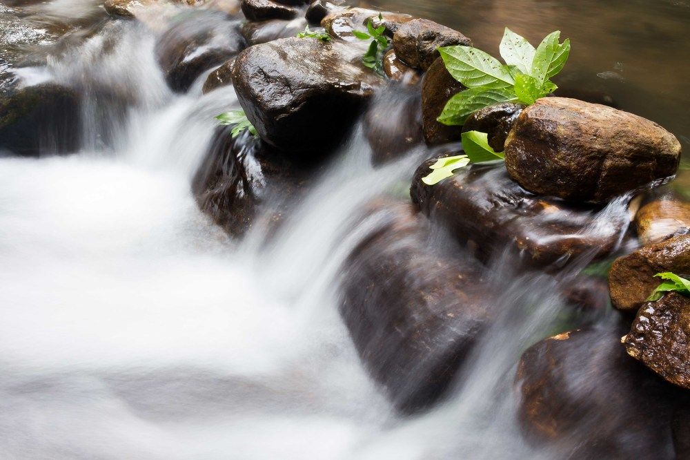 Photograph by Thusitha Dananjaya