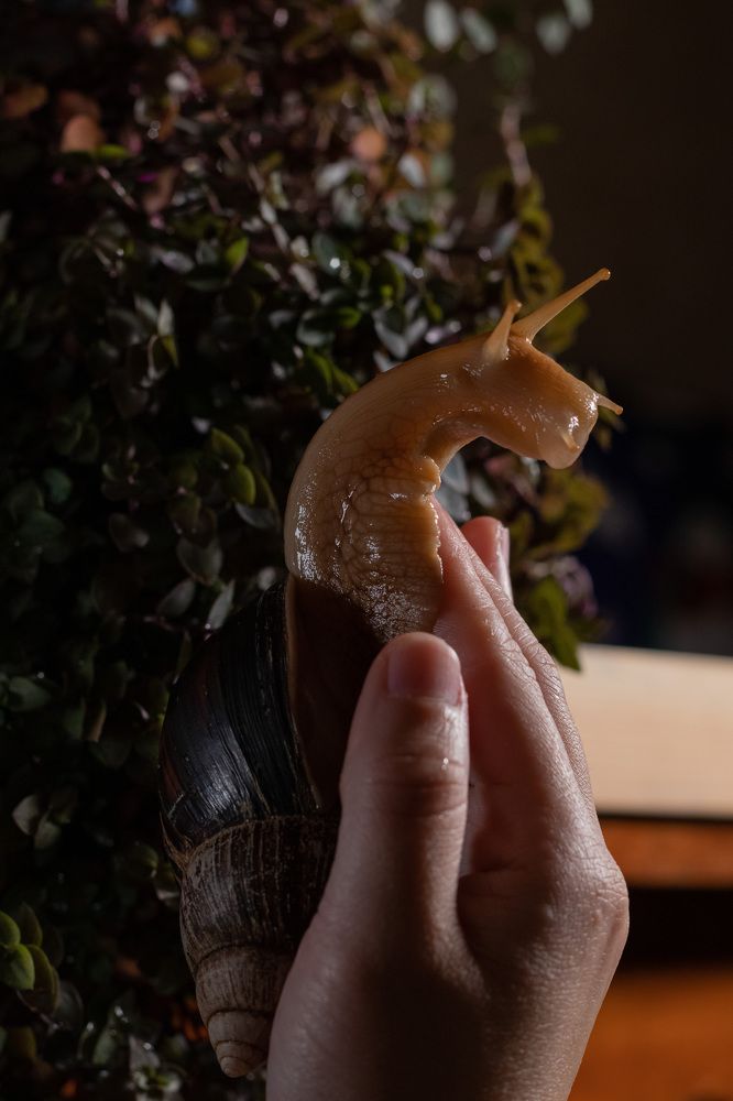 Photograph by Екатерина Талалай