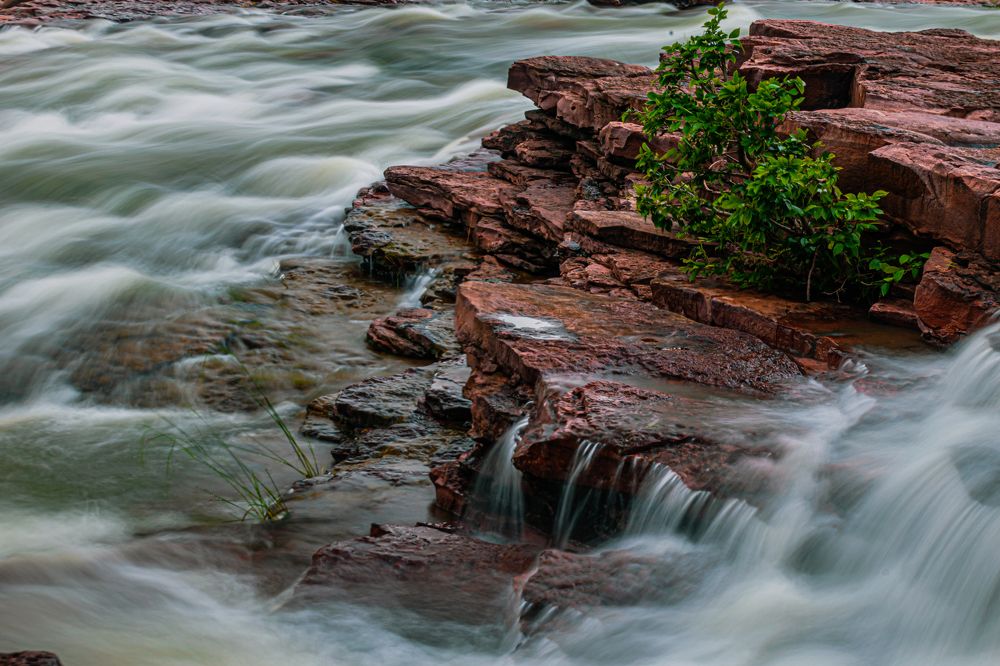 Photograph by Kshitij Patle