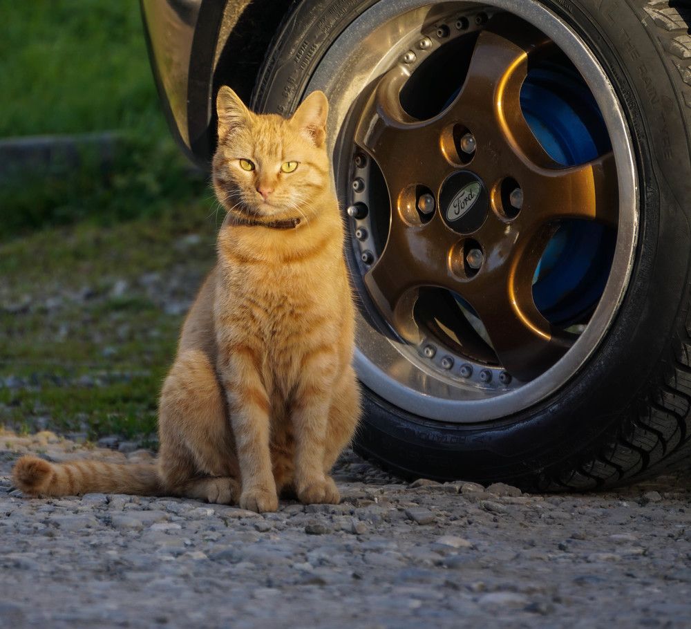 Photograph by George Catalin Serbu