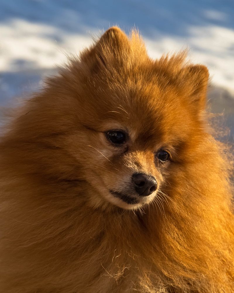 Photograph by Елена Белехова