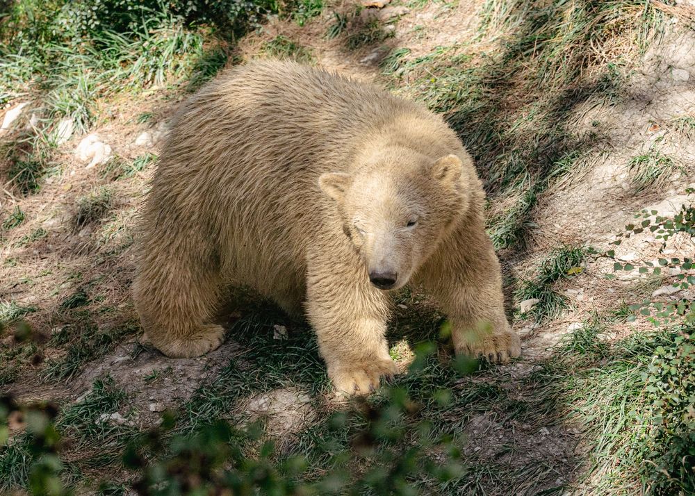 Photograph by Галина Кирикова