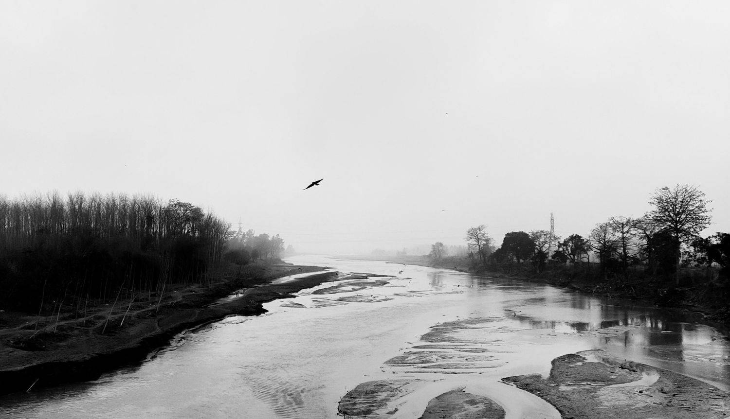 Photo #9097896
