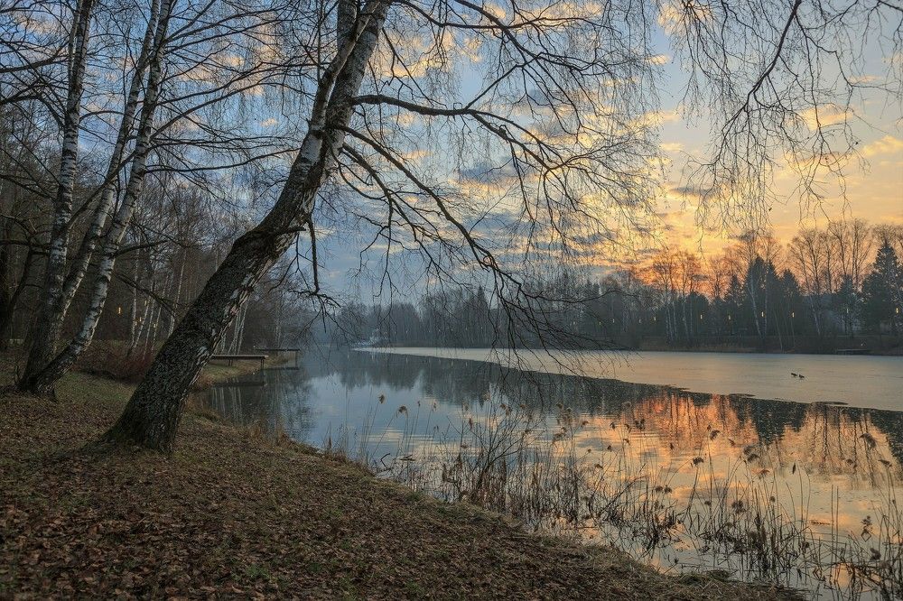 Апрельские кружева