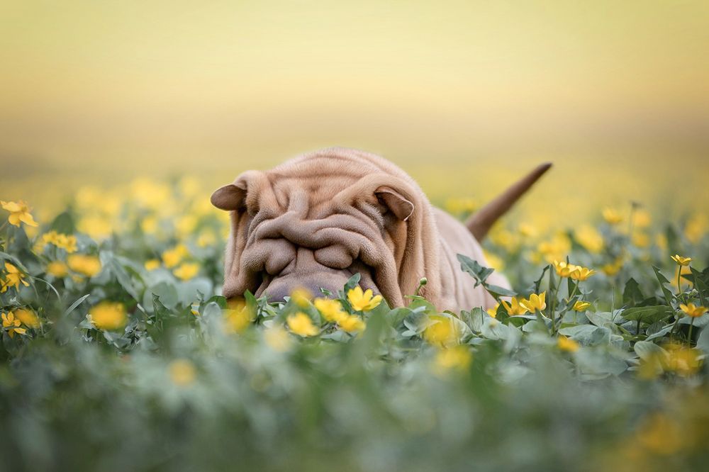 Photograph by Елена Вьюркова