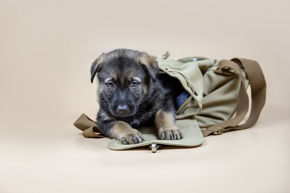 Photograph by Елена Вьюркова