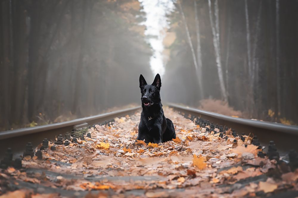 Photograph by Елена Вьюркова