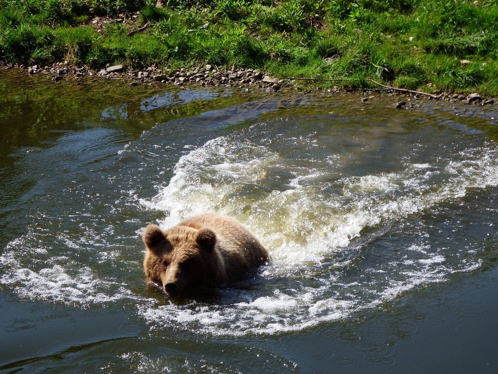 Photograph by Vitalii Kaznin