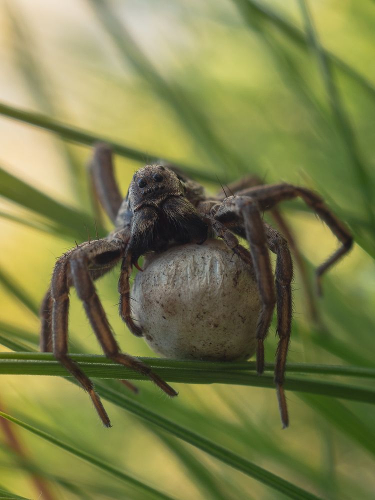 Photograph by Юрий Говорков