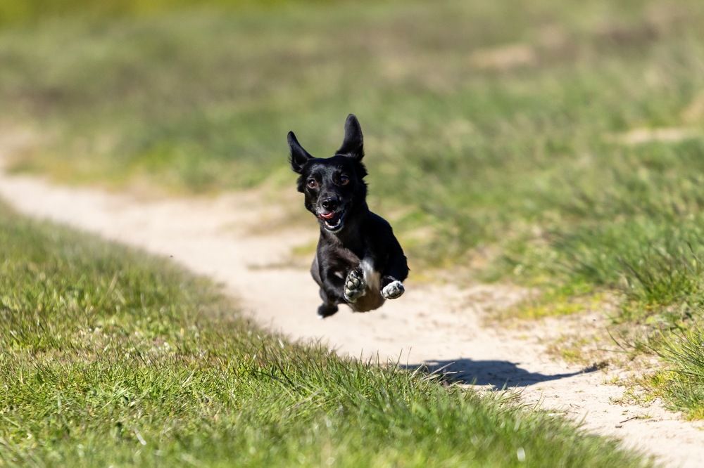 Photograph by Irina Beleva