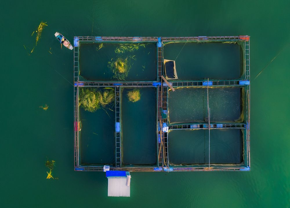 Photograph by Minh Chu Van