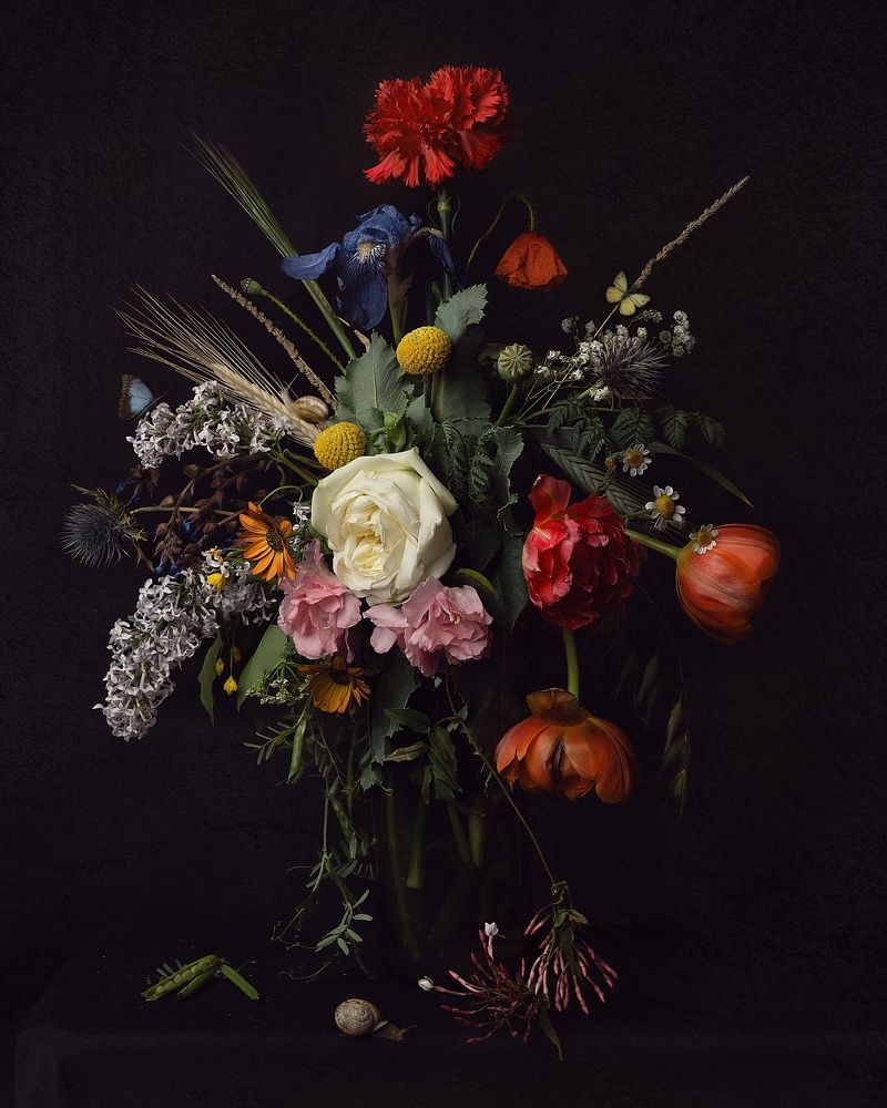 Photograph by Диана Трильо