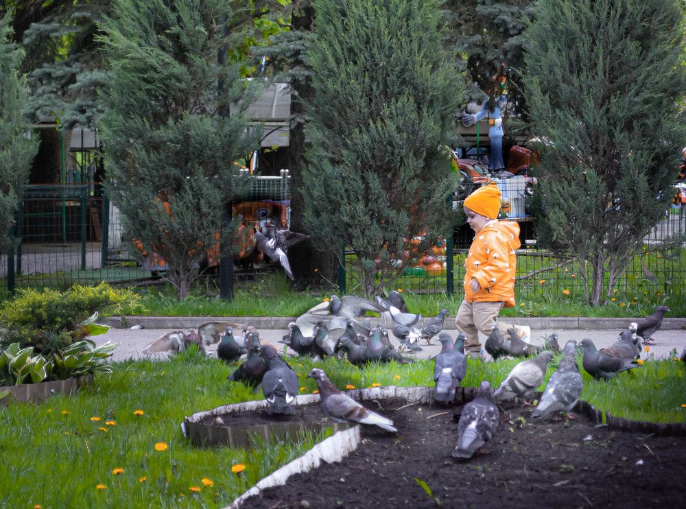 Photograph by Алекскандр Фатеев