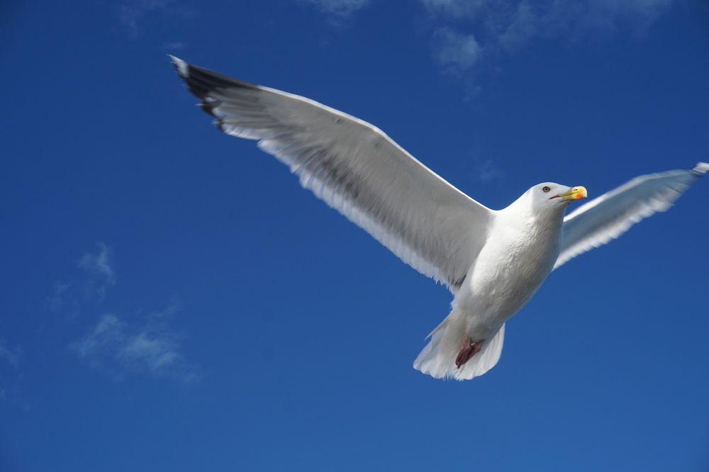 Photograph by Ольга