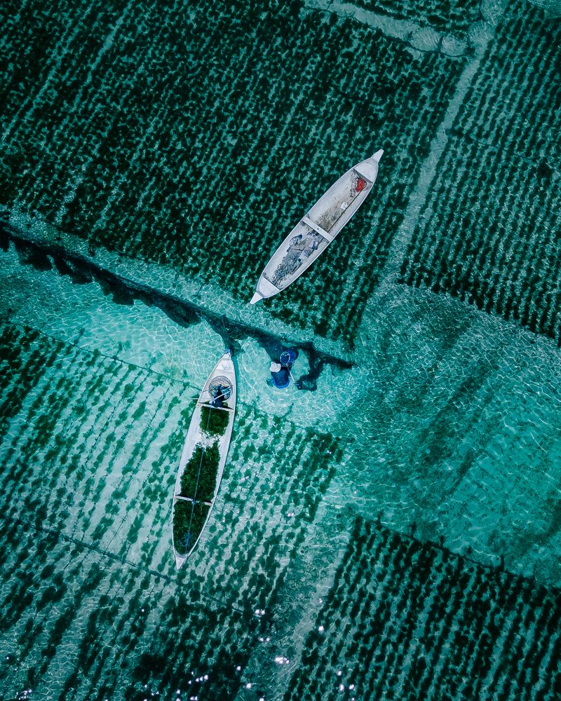 Photograph by Сауль Анастасия