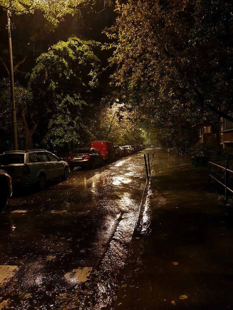 Вечерний дождь