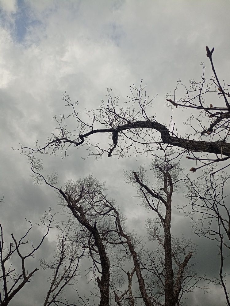 Photograph by Зоя