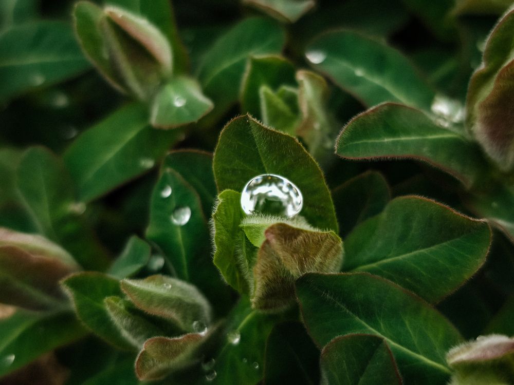 Photograph by Евгений Порсов