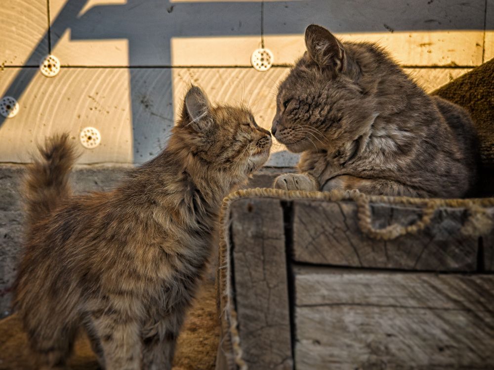 Photograph by Ишниязов Марсель