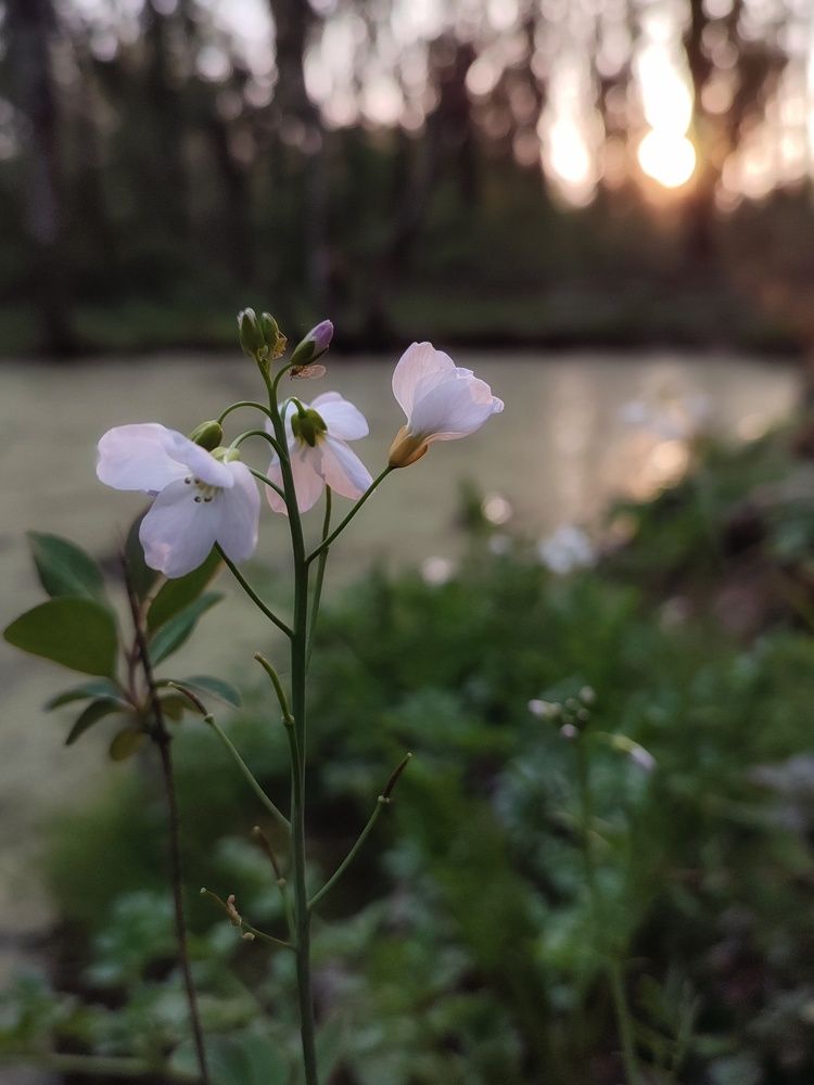 Photograph by Яна Левченко