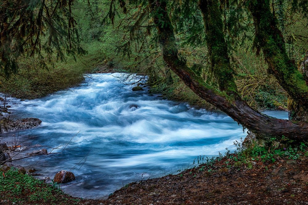 Photograph by Natalia Antipas