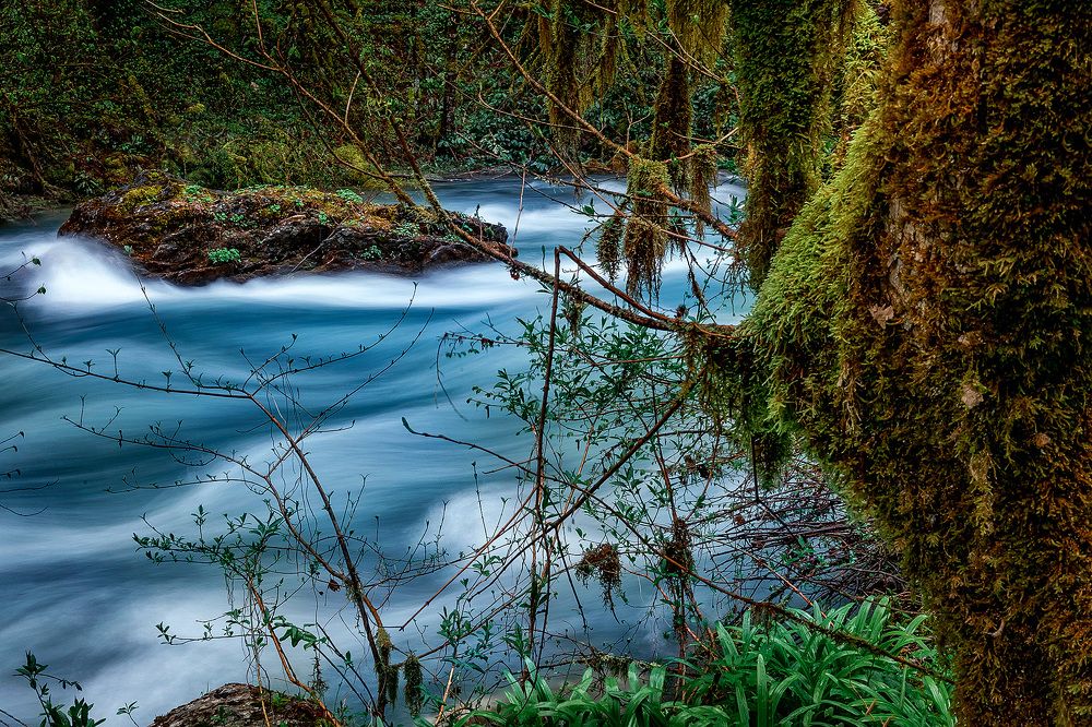 Photograph by Natalia Antipas