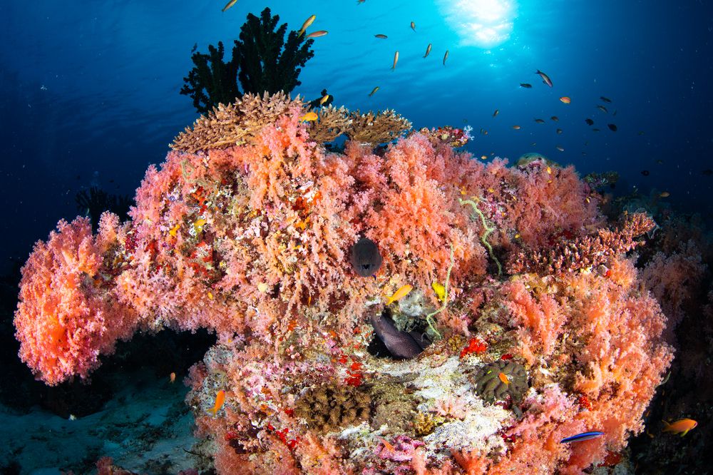 Photograph by HITOMI TSUCHIYA