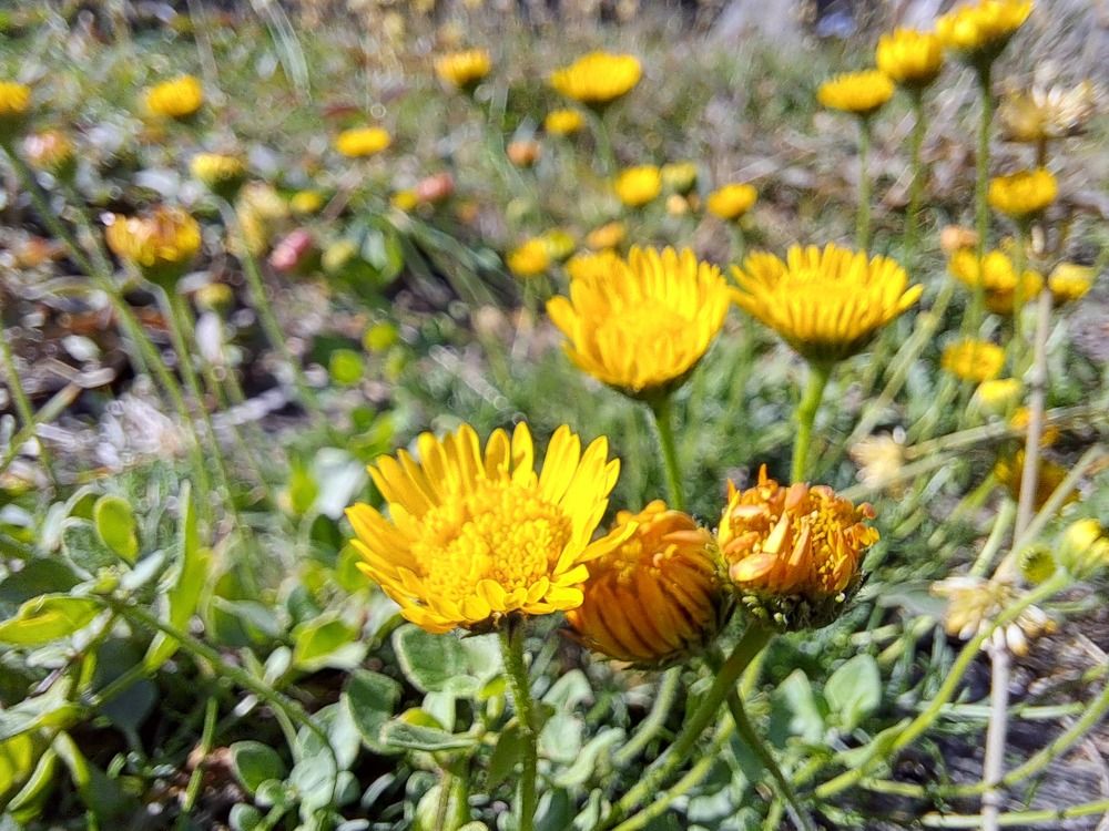 Фотография автора gustavo pecelis