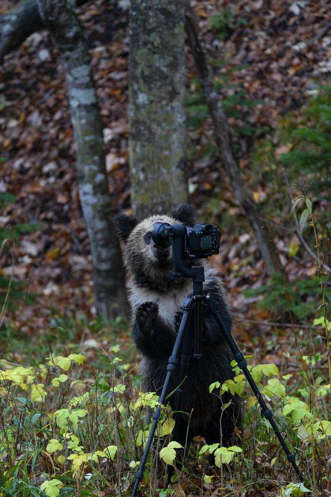 Photograph by daichi shimada