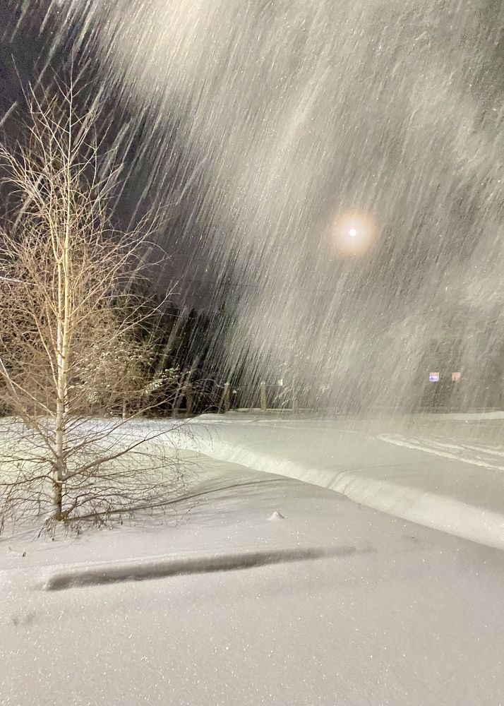 Фотография автора ГУЗАЛИЯ ГАНИЕВА