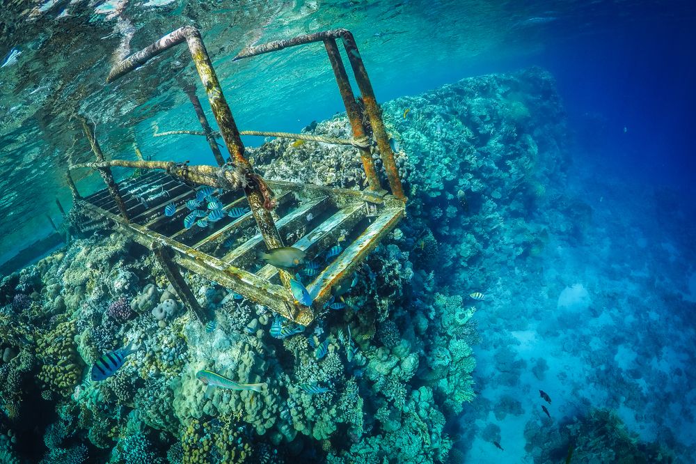 Photograph by Перевозчиков Андрей