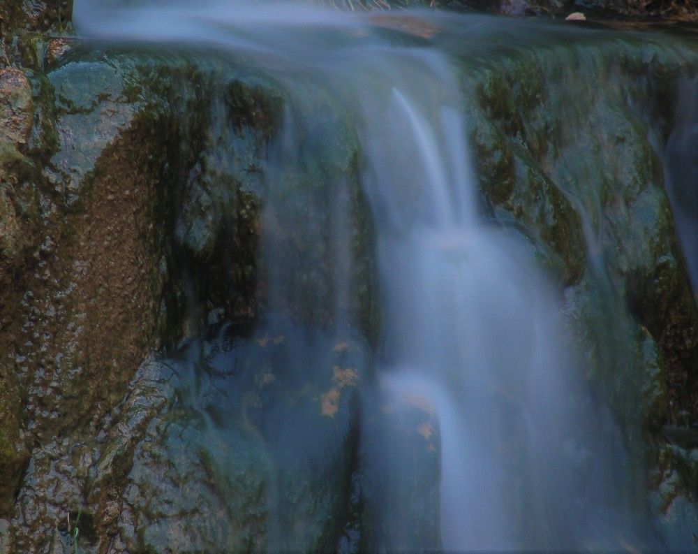 Фотография автора Ася Бабушкина