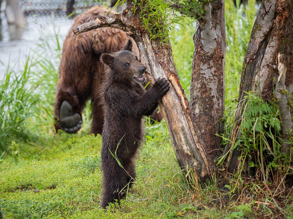 Photograph by Марина Маликова