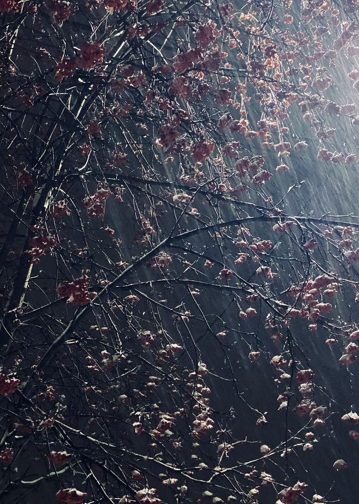 Фотография автора ГУЗАЛИЯ ГАНИЕВА