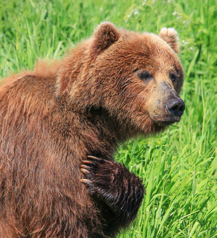 Фотография автора Александр Довганюк