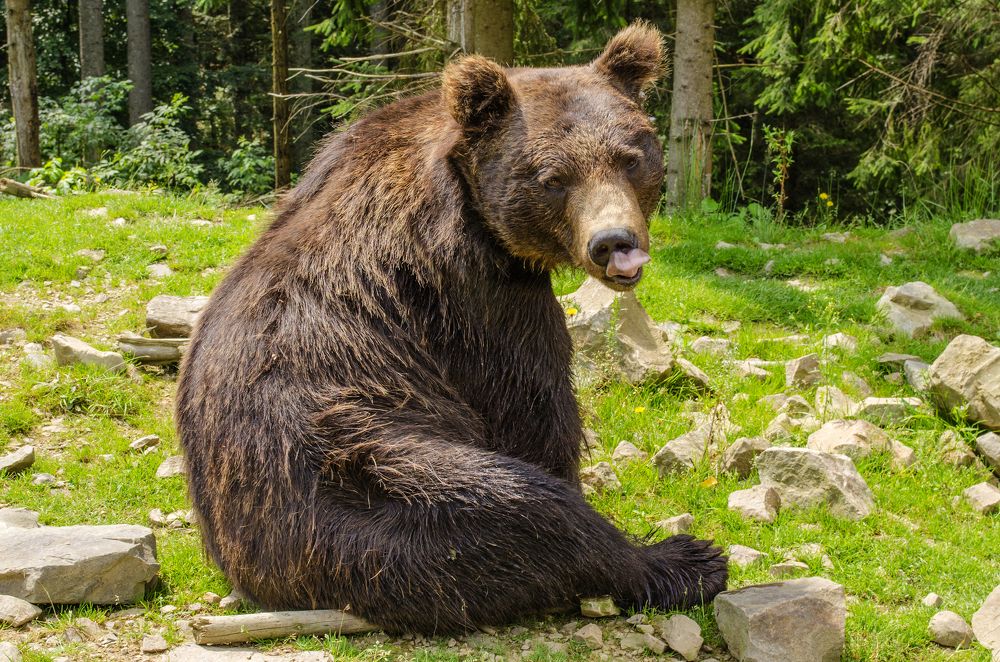 Photograph by Евгений Каримов