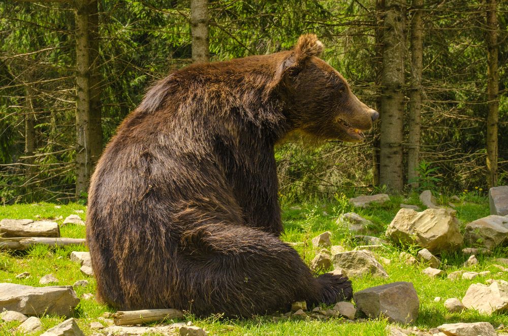 Photograph by Евгений Каримов