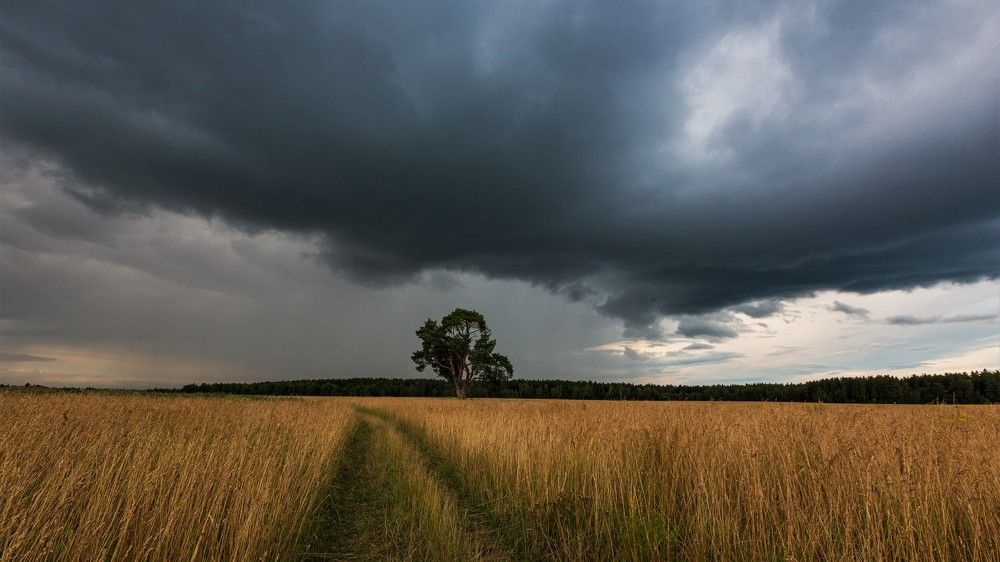 Photograph by Александр Литвинов